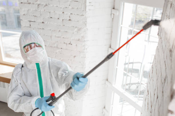 Mold Odor Removal Services in Pine Lake Park, NJ